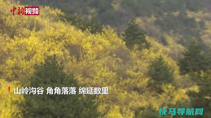 长个子的最快方法16岁